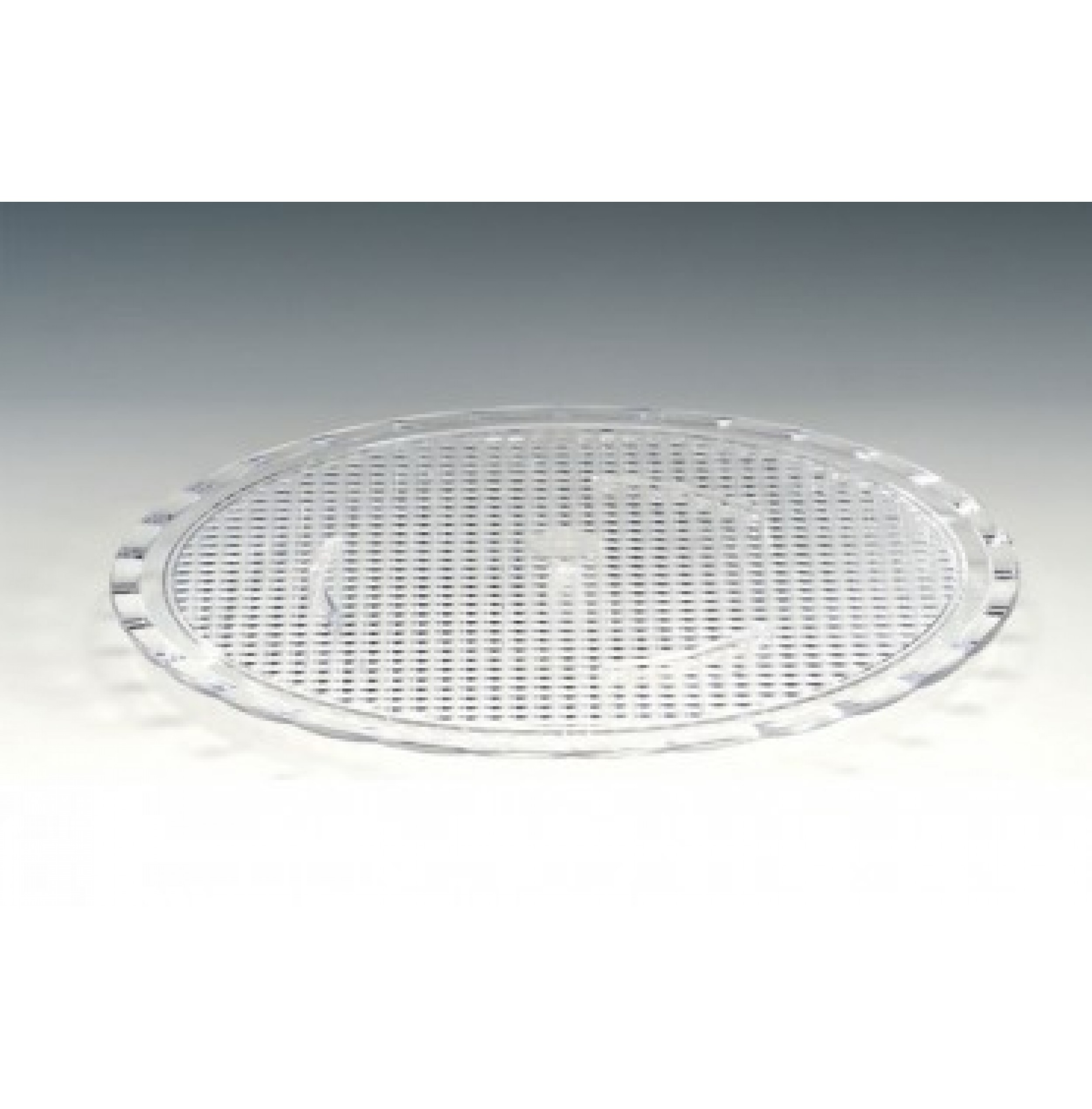 POLİKARBONAT PASTA ALTLIĞI 31 Cm